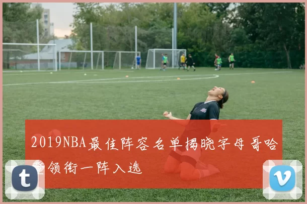 2019NBA最佳阵容名单揭晓字母哥哈登领衔一阵入选