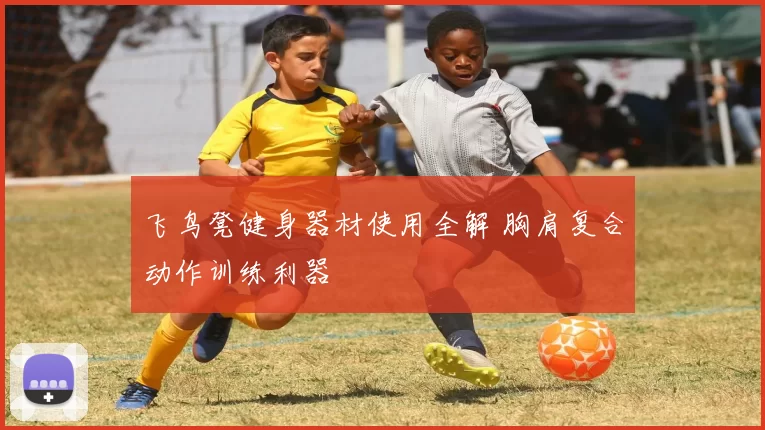 飞鸟凳健身器材使用全解 胸肩复合动作训练利器