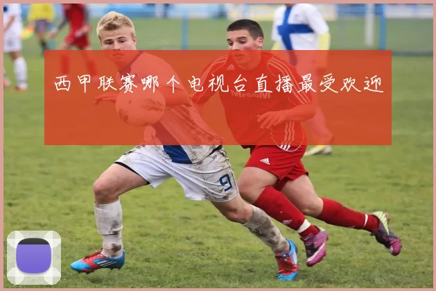 西甲联赛哪个电视台直播最受欢迎