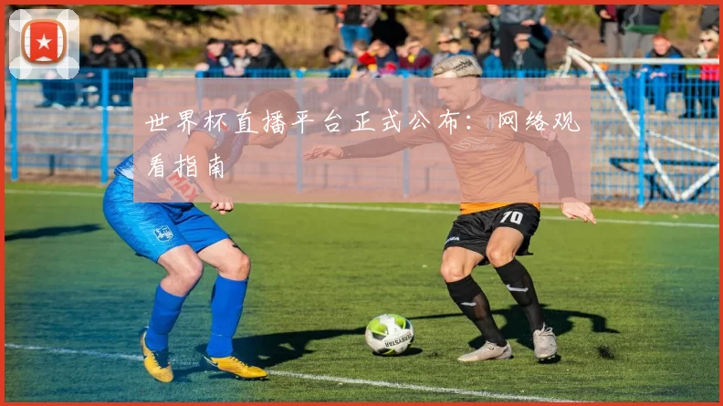 世界杯直播平台正式公布:网络观看指南