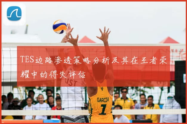 TES边路渗透策略分析及其在王者荣耀中的得失评估