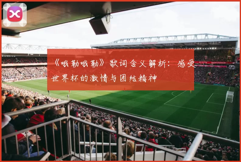 《哦勒哦勒》歌词含义解析:感受世界杯的激情与团结精神