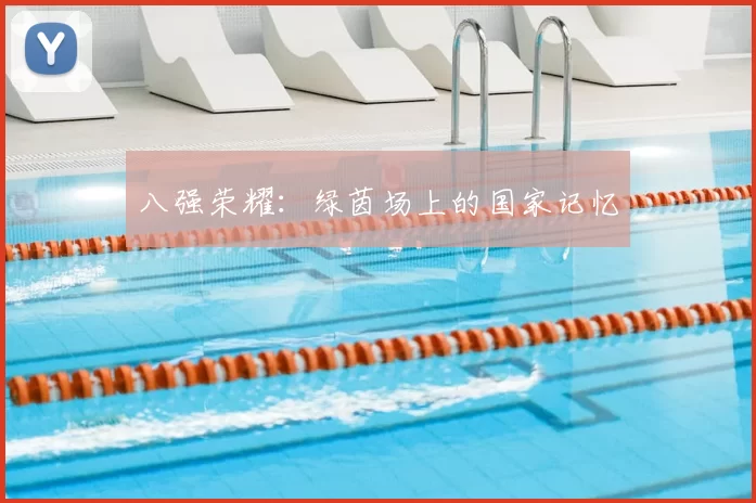 八强荣耀:绿茵场上的国家记忆