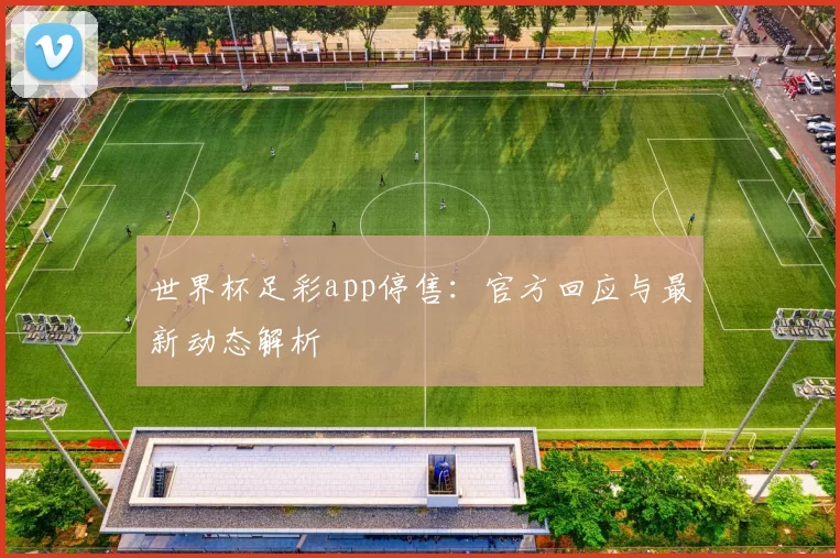 世界杯足彩app停售：官方回应与最新动态解析