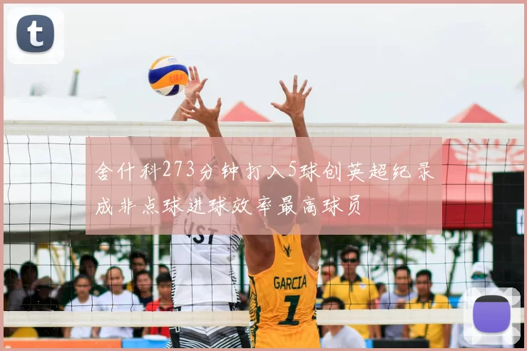舍什科273分钟打入5球创英超纪录成非点球进球效率最高球员