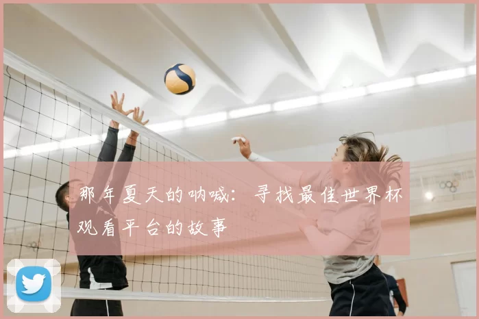 那年夏天的呐喊:寻找最佳世界杯观看平台的故事