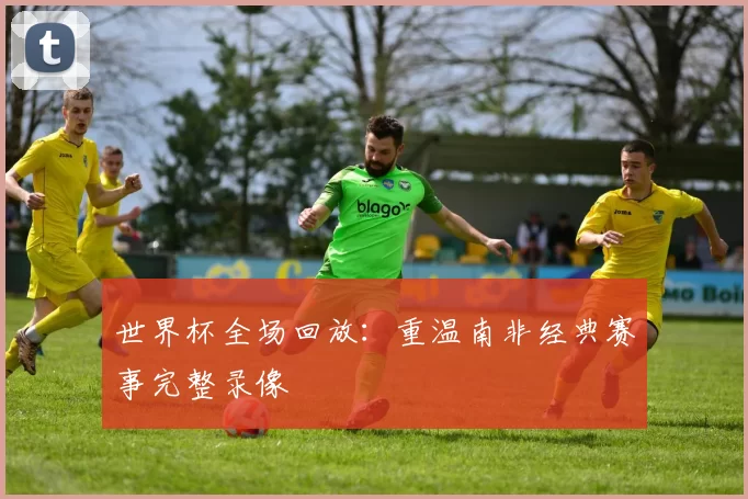 世界杯全场回放：重温南非经典赛事完整录像
