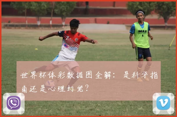 世界杯体彩数据图全解：是科学指南还是心理幻觉？