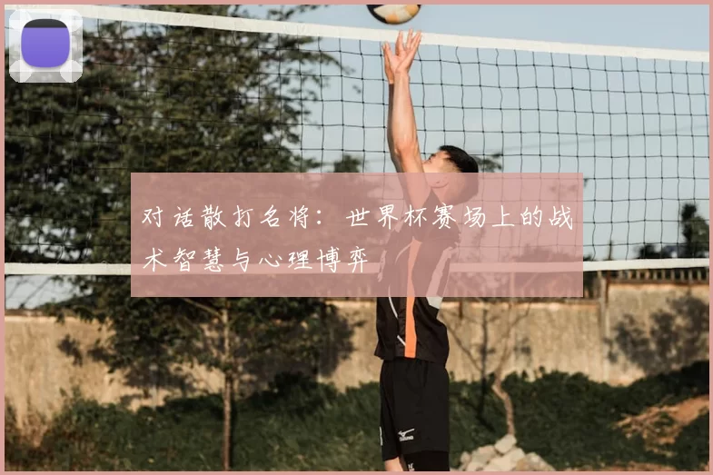 对话散打名将:世界杯赛场上的战术智慧与心理博弈
