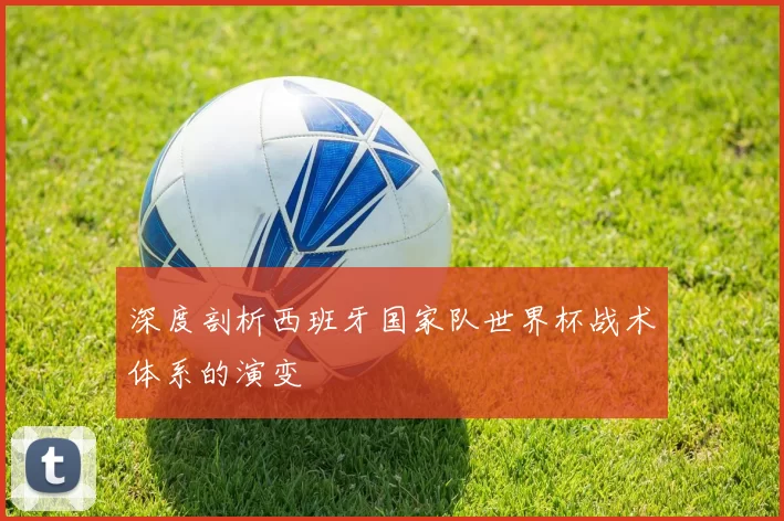 深度剖析西班牙国家队世界杯战术体系的演变